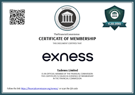 Exness Verification Documents Needed 20 Exness Verification Documents Needed 20