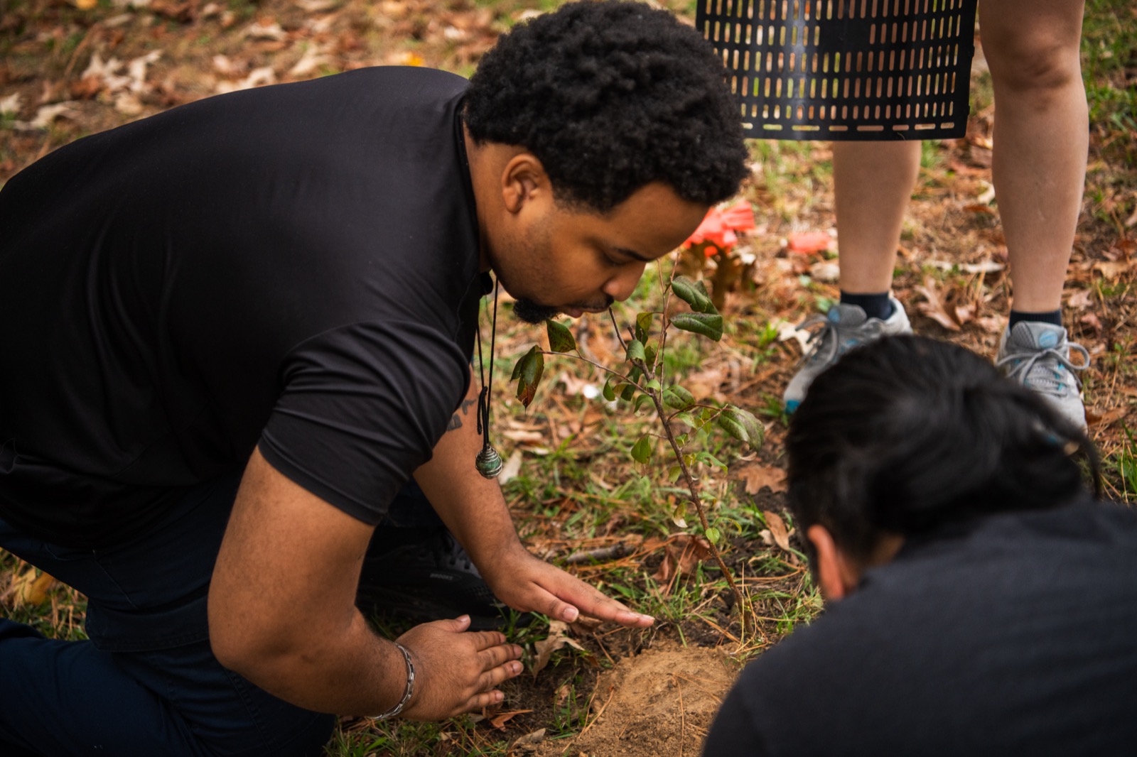Participants gently press soil around a sapling during a BCTP community tree planting
