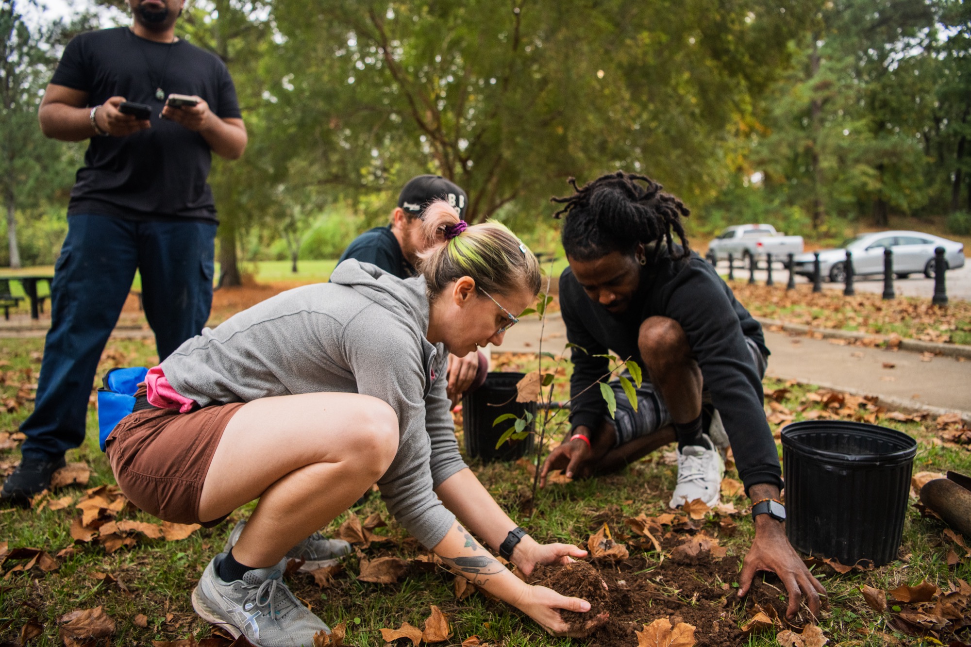 Community members tending the earth around a newly planted black cherry tree